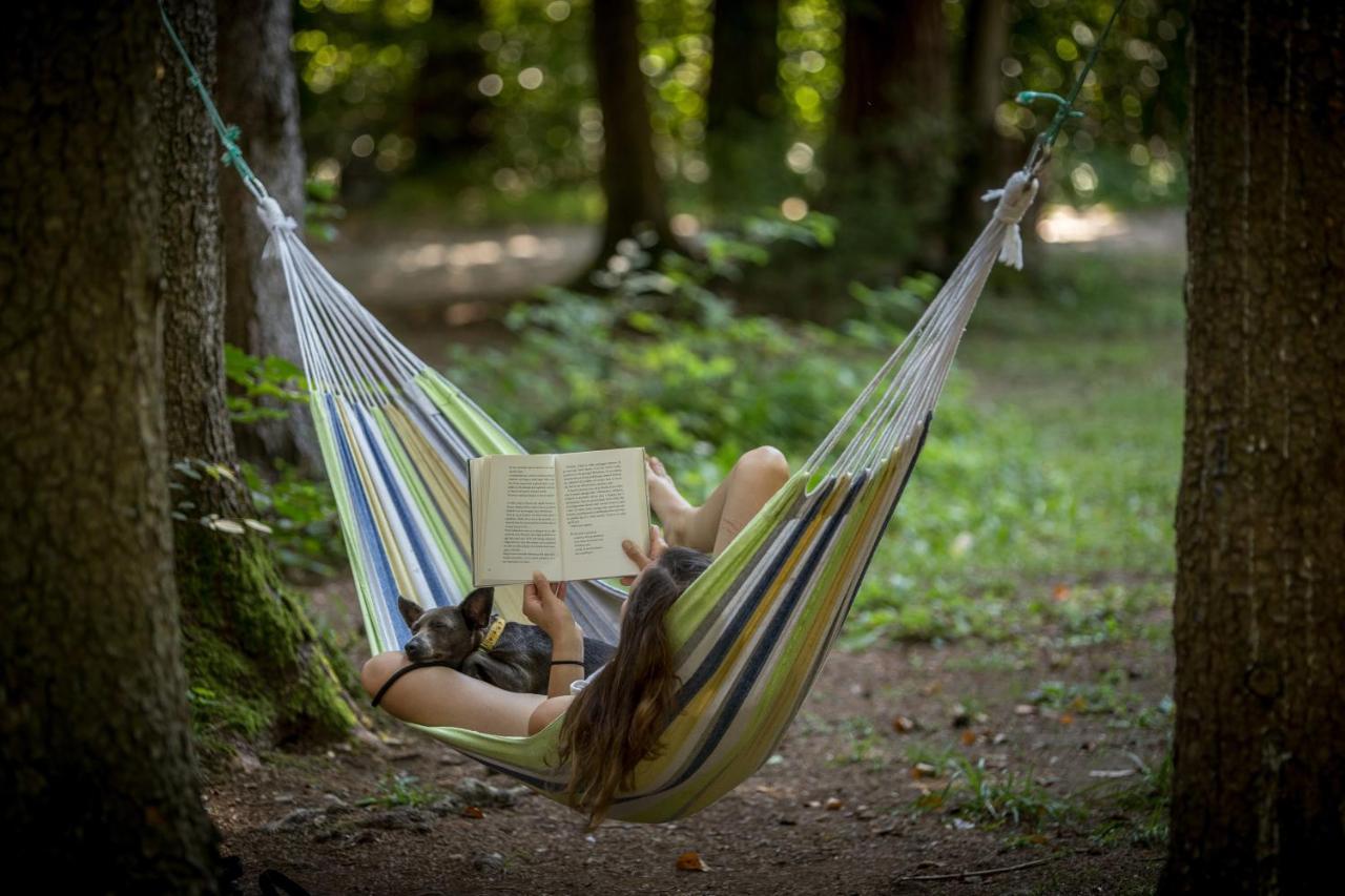 Forest Camping מוזירייה מראה חיצוני תמונה