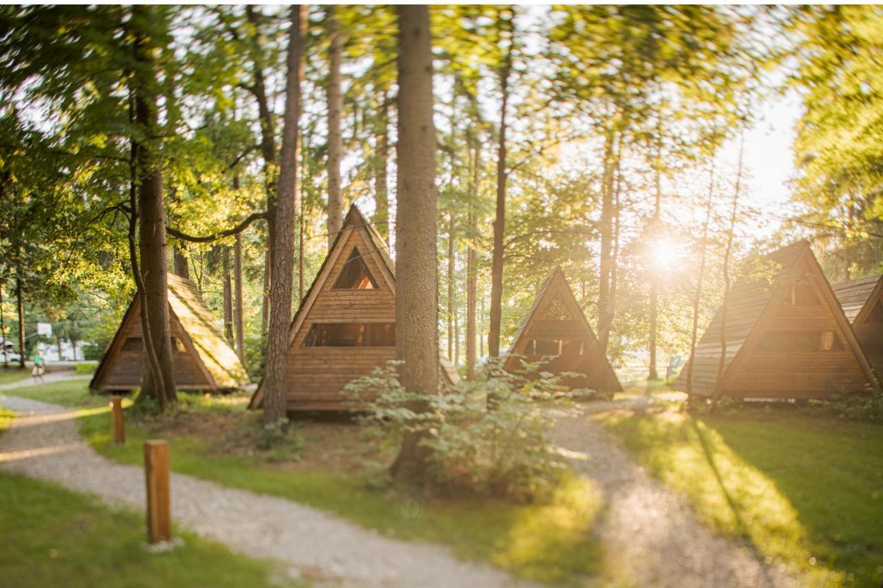 Forest Camping מוזירייה מראה חיצוני תמונה