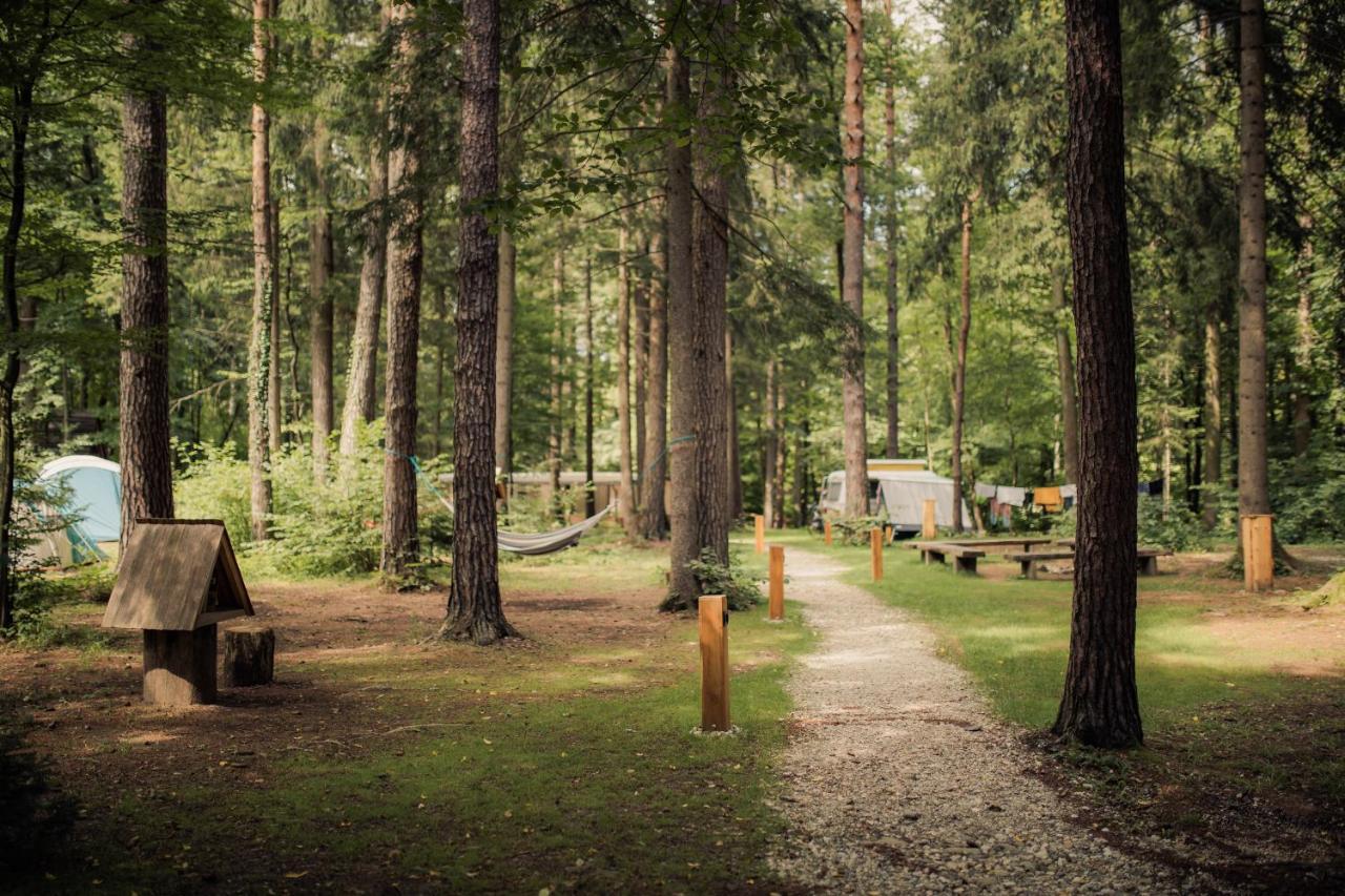 Forest Camping מוזירייה מראה חיצוני תמונה