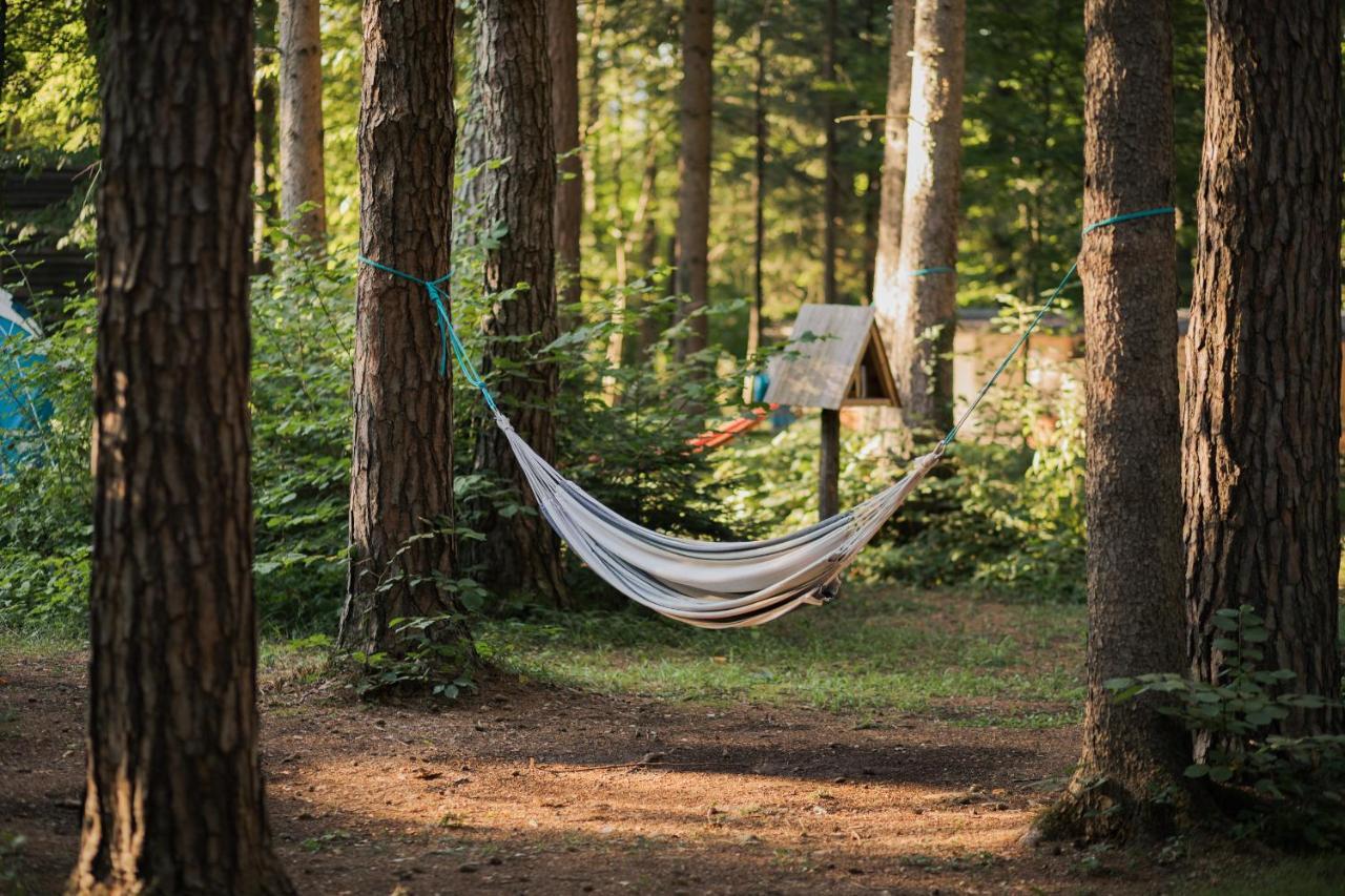 Forest Camping מוזירייה מראה חיצוני תמונה