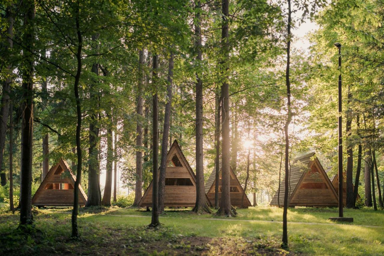 Forest Camping מוזירייה מראה חיצוני תמונה